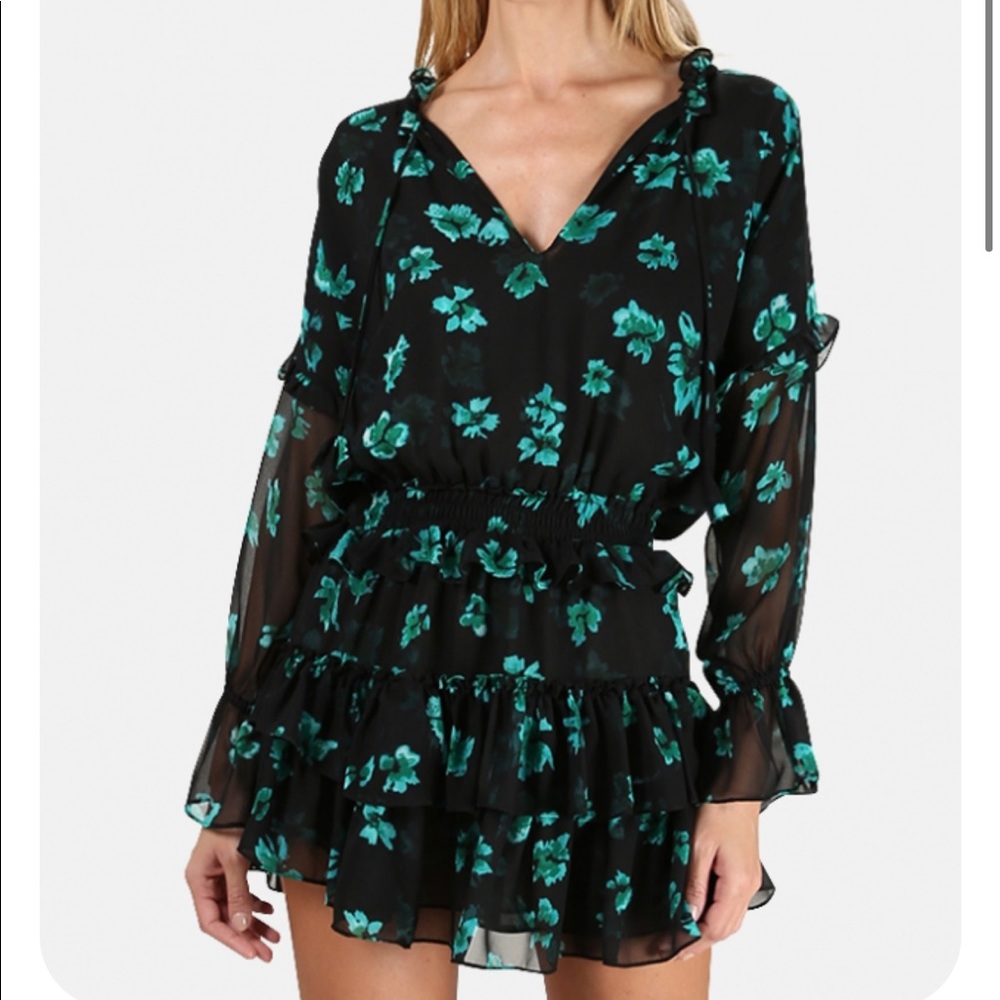 Misa longe sleeve mini dress